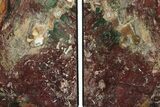 Tall, Red And Green Jasper Bookends - Marston Ranch, Oregon #202302-1